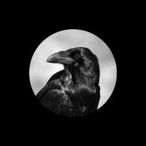 国产一级精品高清一级毛片
