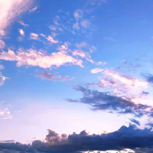 国产一级精品高清一级毛片
