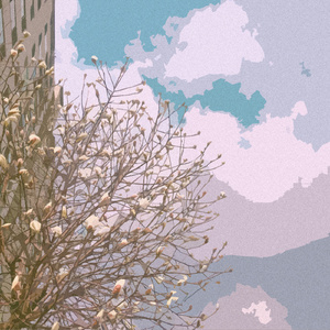 国产一级精品高清一级毛片
